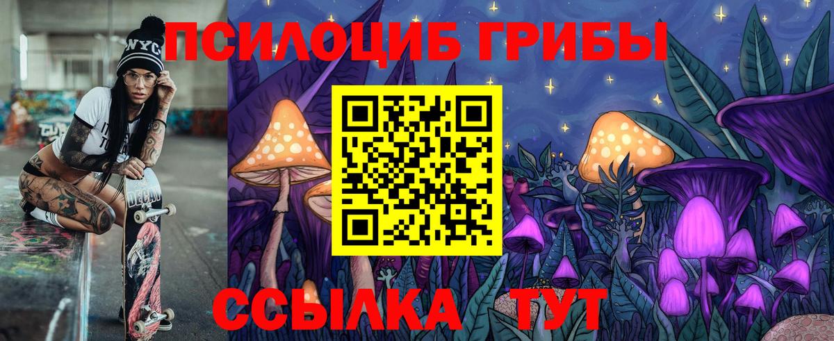 Галлюциногенные грибы Psilocybine cubensis  Вход с VPN  Ефремов  Галлюциногенные грибы MAGIC MUSHROOMS 